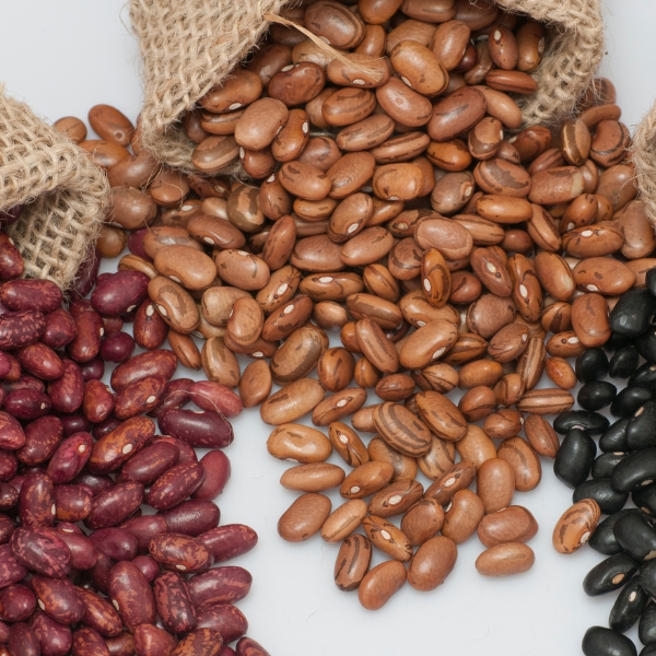 Velký průvodce: Poznáte všech 15 druhů fazolí? (2.díl)