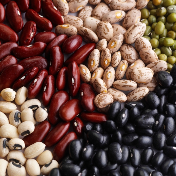 Velký průvodce: Poznáte všech 15 druhů fazolí? (1.díl)